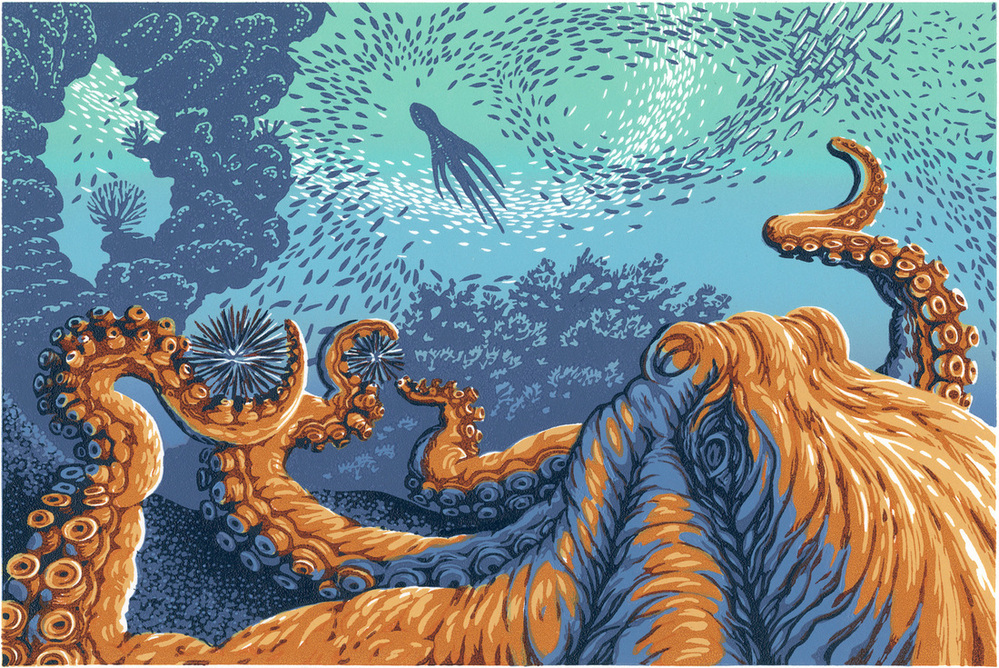 Octopus Garden — linoleum print by Patrick Simon