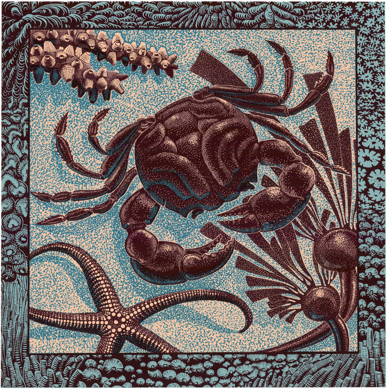 Crab — linoleum / silk screen print by Patrick Simon